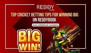 Read more about the article Top Cricket Betting Tips for Winning Big on Reddybook