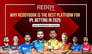Read more about the article Why Reddybook is the Best Platform for IPL Betting in 2025